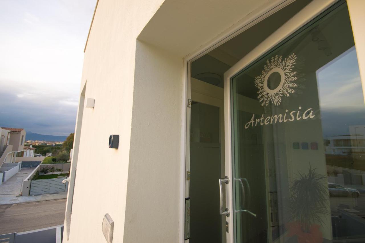 Artemisia * Olbia